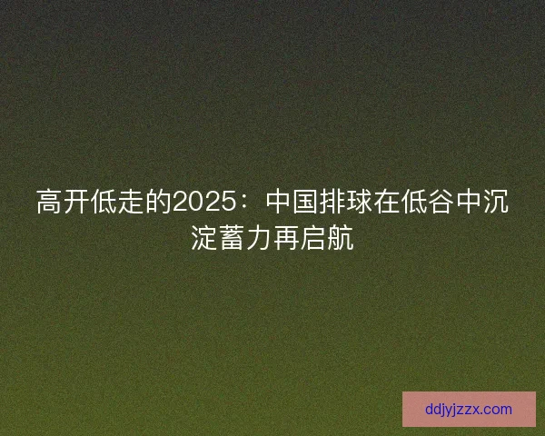 高开低走的2025：中国排球在低谷中沉淀蓄力再启航